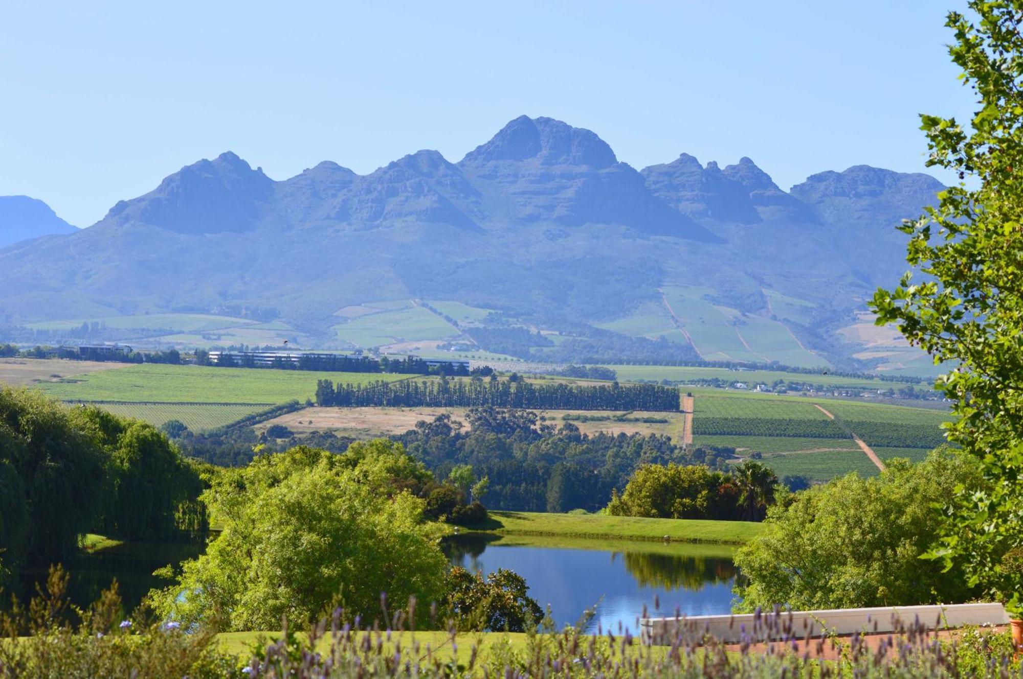 Asara Wine Estate & Hotel Стеленбош Екстериор снимка